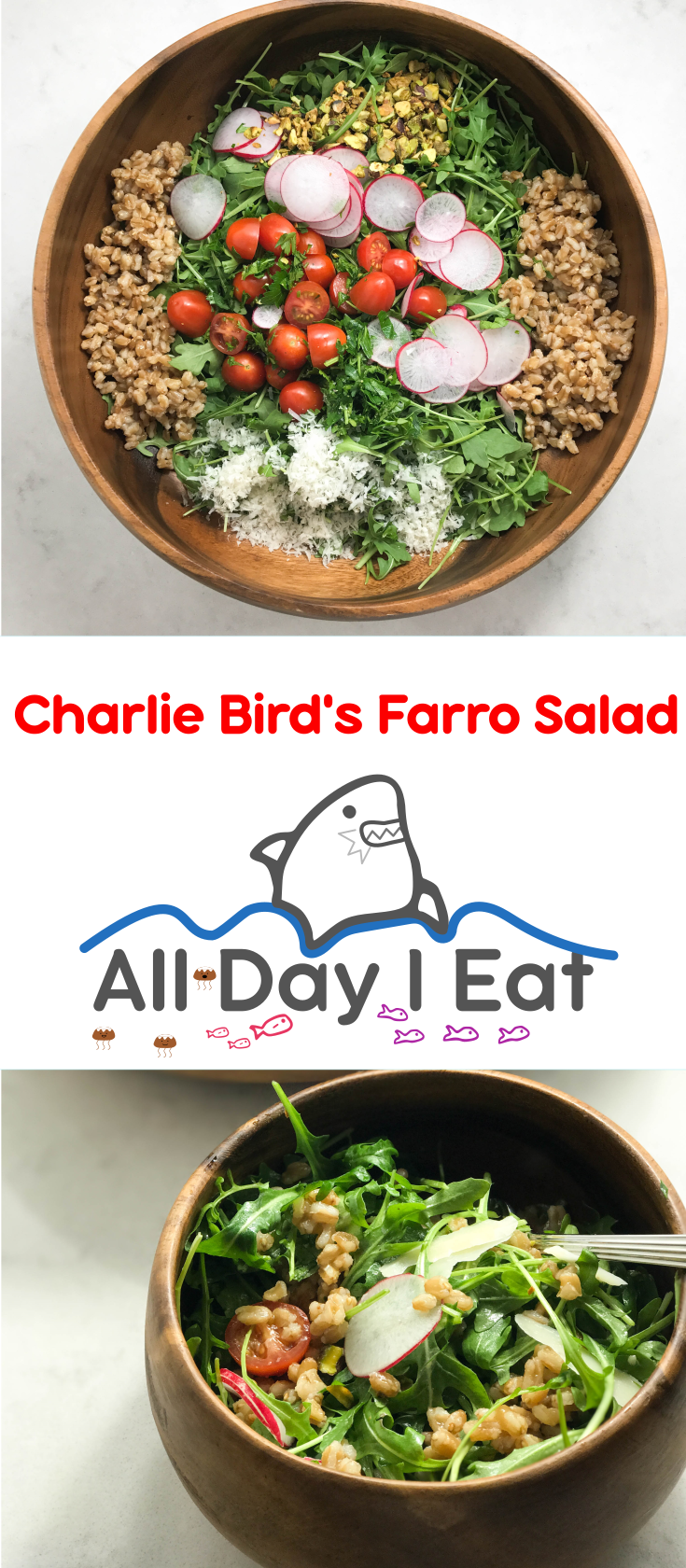Charlie Bird's Farro Salad version 1.0 with Hard Cider | www.alldayieat.com
