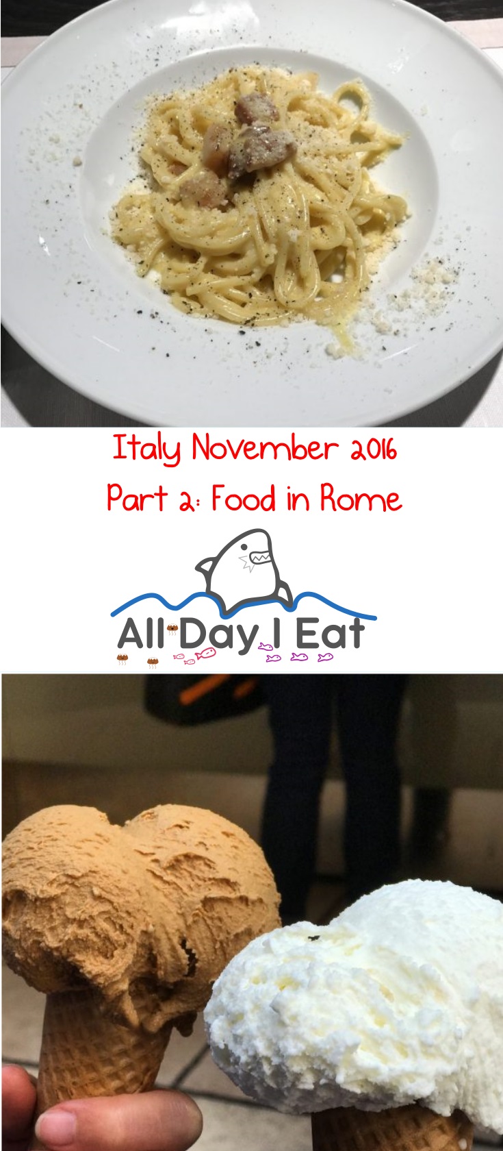 Italy November 2016 Part 2: Food in Rome - Ideas and info for your next visit! | www.alldayieat.com 