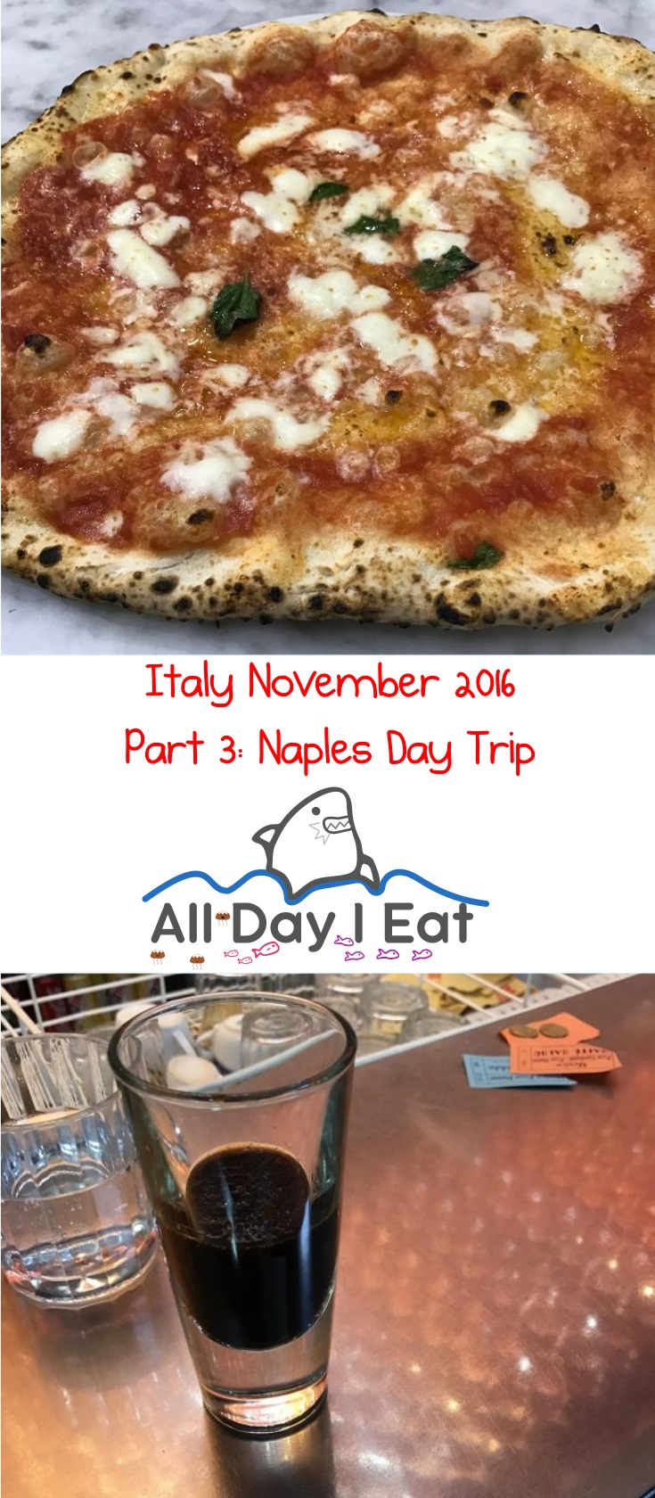 Italy November 2016 Part 3: Naples Day Trip - Ideas for your next visit | www.alldayieat.com 
