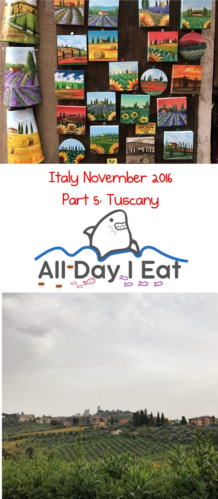Italy November 2016 Part 5 tuscany | www.alldayieat.com