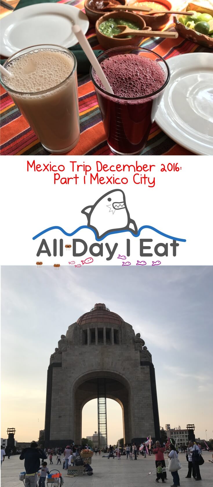 Mexico Trip December 2016: Part 1 Mexico City | www.alldayieat.com