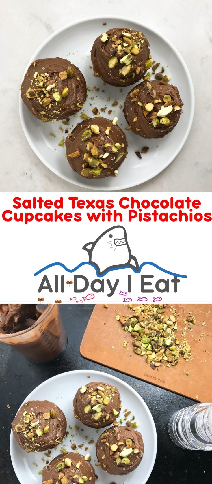 Salted Texas Chocolate Cupcakes. Super tasty and not overly sweet, pistachios and salt take your chocolate dreams to the next level! | www.alldayieat.com