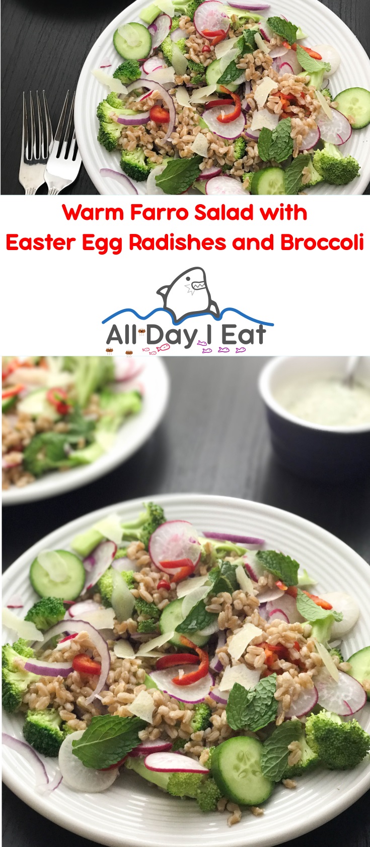 Warm Farro Salad with Easter Egg Radishes and Broccoli | www.alldayieat.com