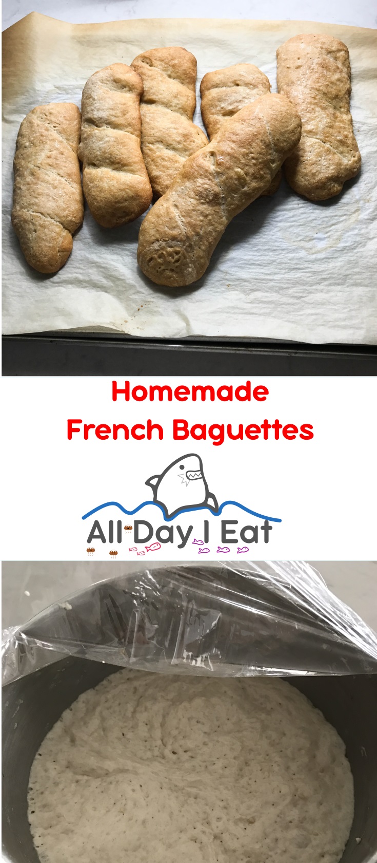 Homemade French Baguettes | www.alldayieat.com
