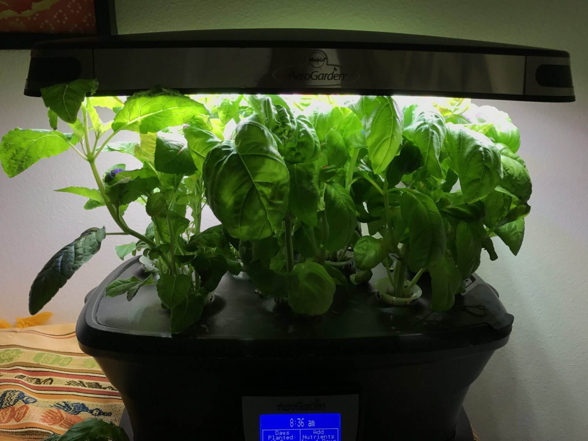 aerogarden ultra led