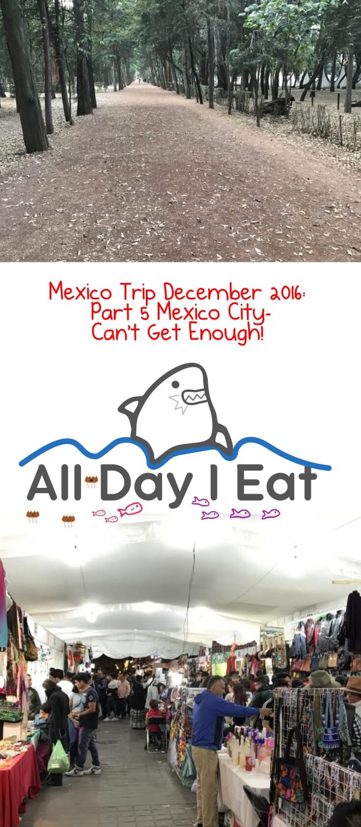 Mexico Trip December 2016: Part 5 Mexico City Can't Get Enough!. See what we did in the Condesa and Coyoacan neighborhoods!| www.alldayieat.com 