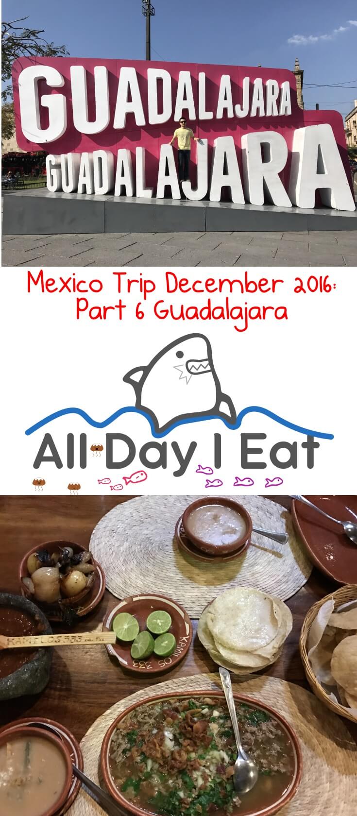 Mexico Trip December 2016: Part 6 Guadalajara. A city famous for delicious food and art! Come see what to do and where to eat some of the regional specialties! | www.alldayieat.com