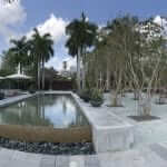 plant food + wine - miami florida