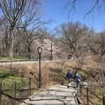 central park new york city