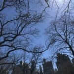 central park new york city