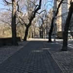 central park new york city