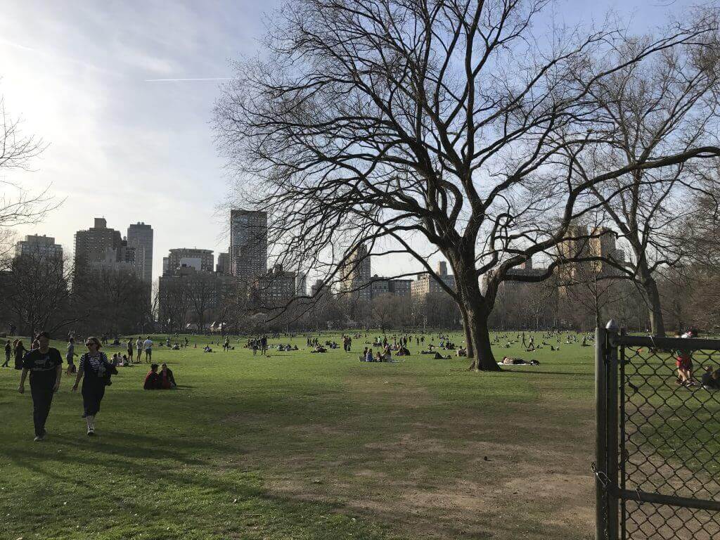 new york city central park