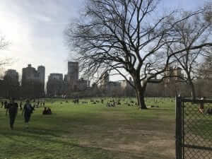 new york city central park
