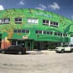 wynwood walls miami florida