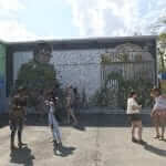 wynwood walls miami florida