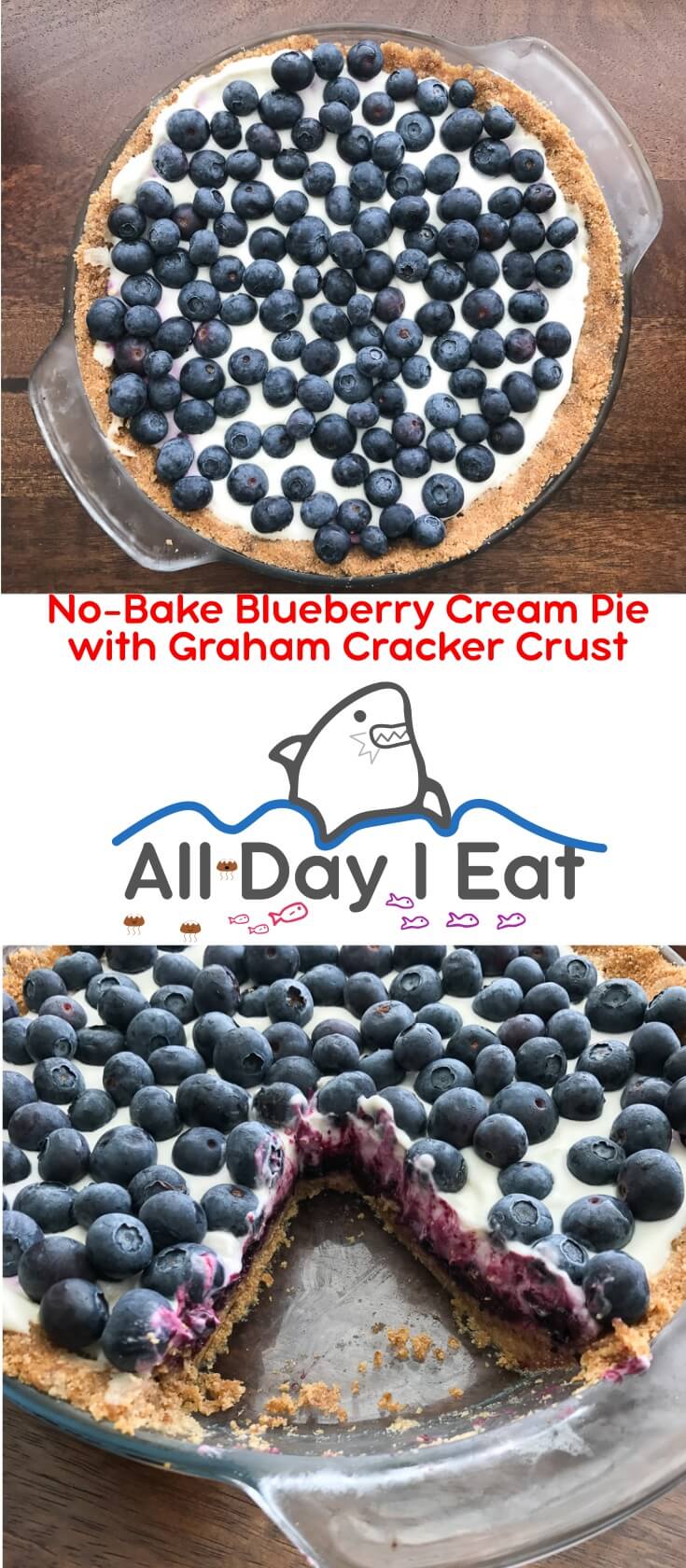 No Bake Blueberry Cream Pie with Graham Cracker Crust is a taste of summer you won't forget. Best served chilled, this pie filling is rich, creamy, and fruity with just the right amount of sweetness. The graham cracker crust is classic and one you can repurpose for other no bake desserts like my other favorite, cheesecake!