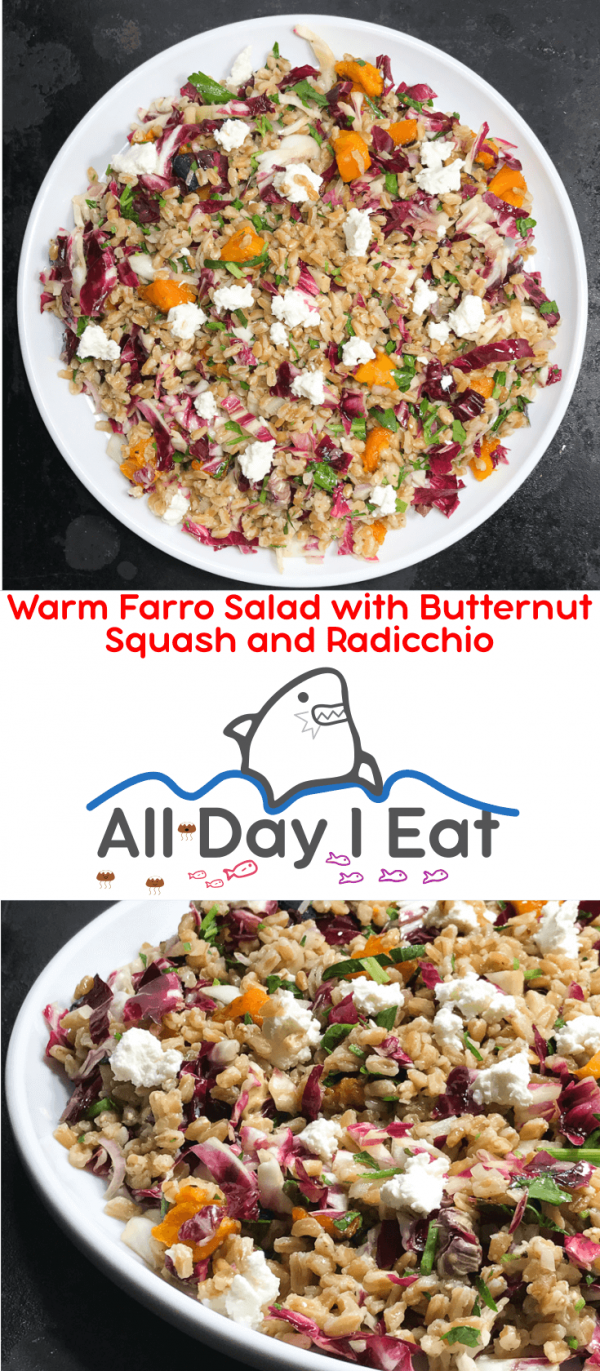 Delicious Warm Farro Salad Squash & Radicchio No.1 Salad