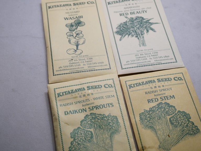 Growing Microgreens Part 1- Red and White Daikon, Wasabi, and Amaranth