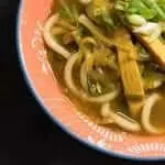 A bowl of curry udon with chicken and green onions.