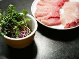 5 day timelapse kaiware daikon radish microgreens