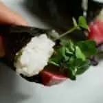 5 day timelapse kaiware daikon radish microgreens