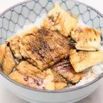 tofu kabayaki closeup