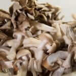 kinoko pasta mushrooms closeup