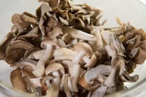 kinoko pasta mushrooms closeup