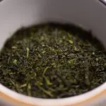sencha tea