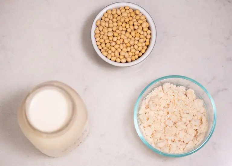 home made soy milk, okara and soy beans all day i eat like a shark