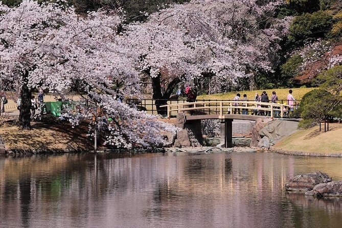 Shimantogawa river all day i east like a shark
