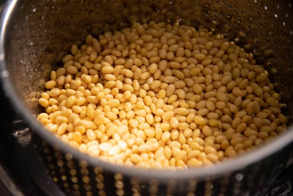 homemade natto before steaming soy beans