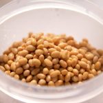 homemade natto in tanica container