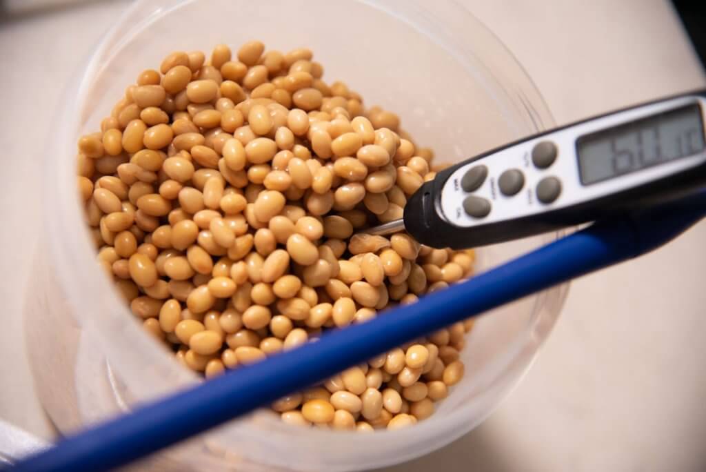 homemade natto temperature