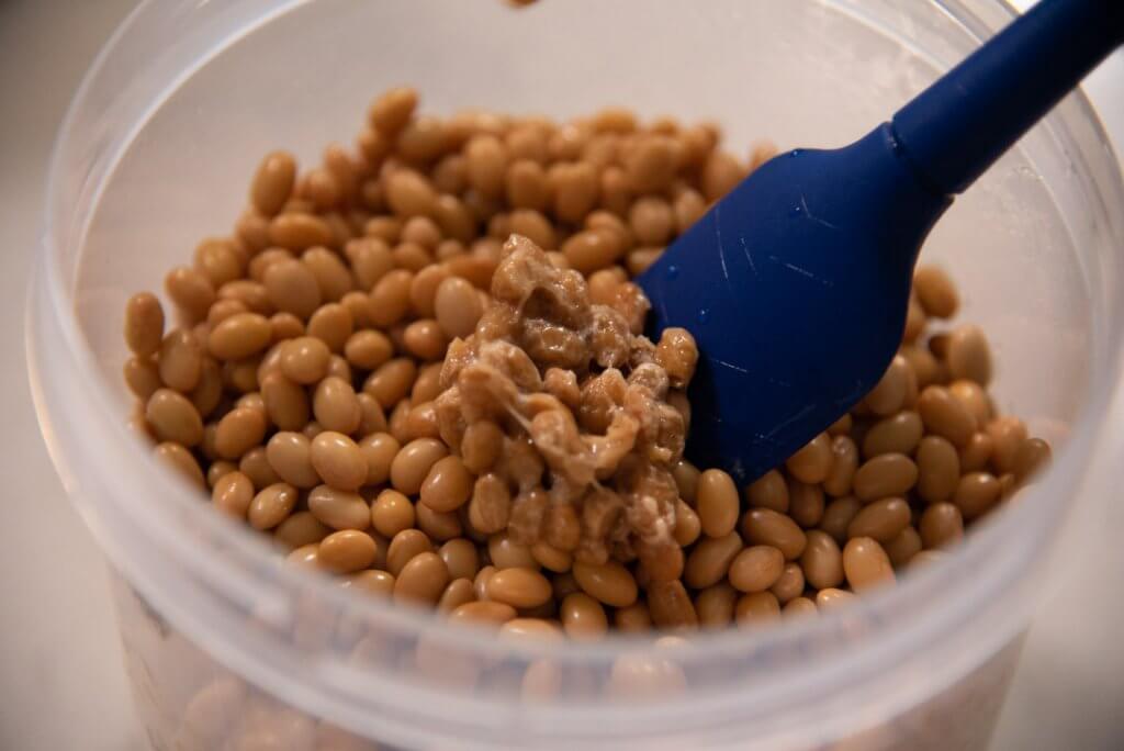 homemade natto closeup