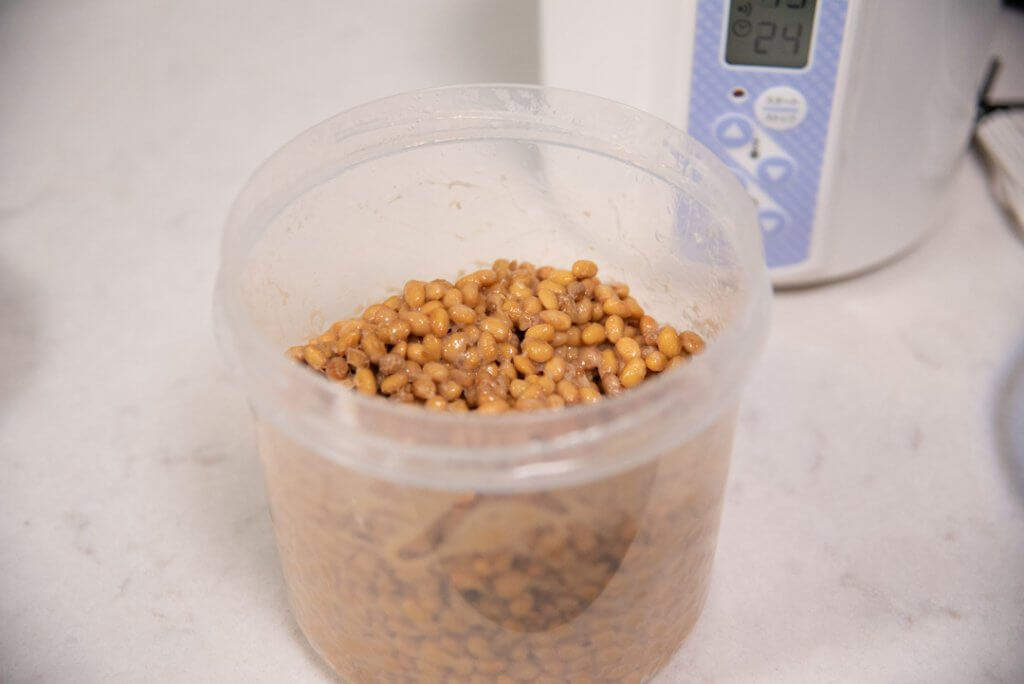 homemade natto before fermenting