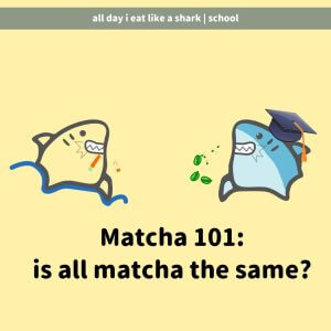matcha 101 is all matcha the same