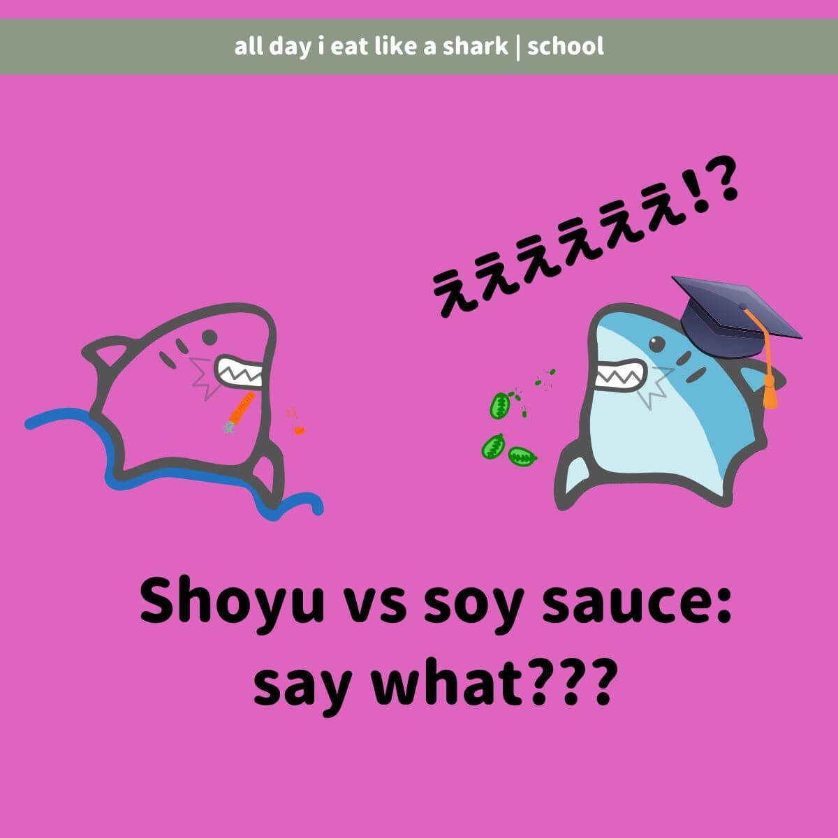 Shoyu Vs Soy Sauce: What To Use For Cooking