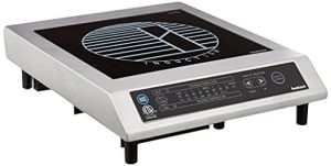iwatani induction cooker