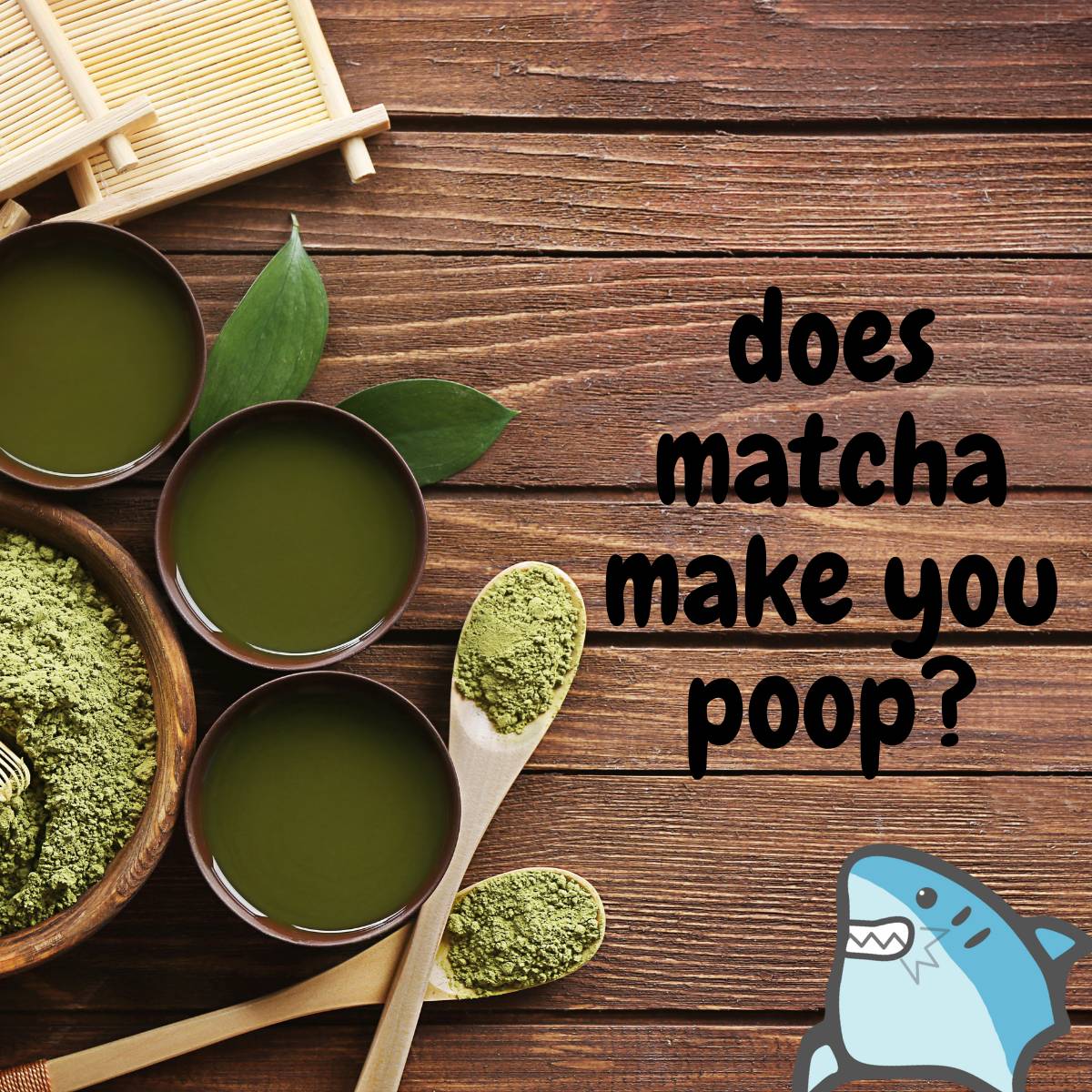Does Matcha Make You Poop All Day I Eat Like A Shark