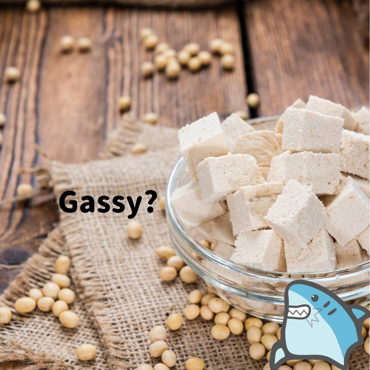 Tofu and soybean in a table. Does it really make you gassy?