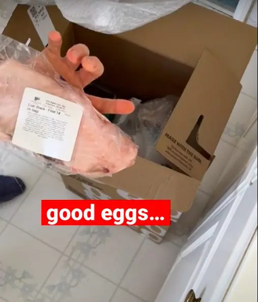 Good eggs