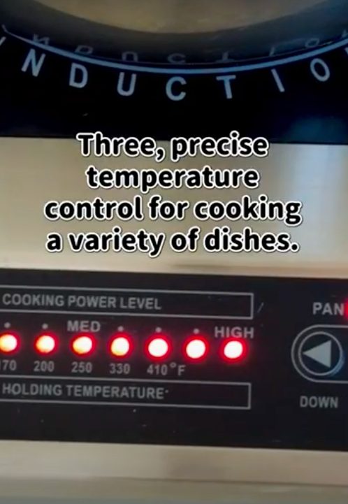 temperature control for iwatani induction cooker