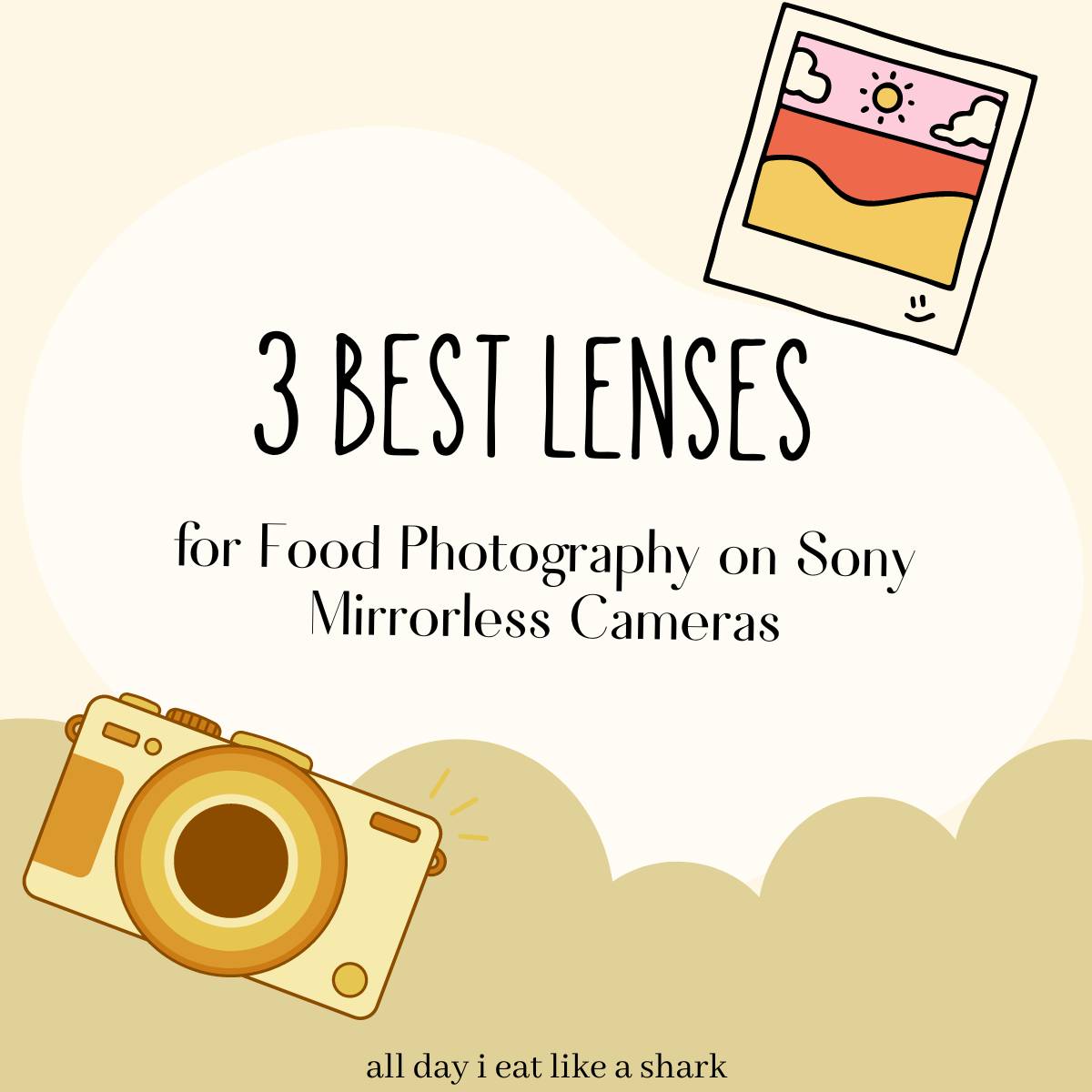 point and shoot camera for food photography