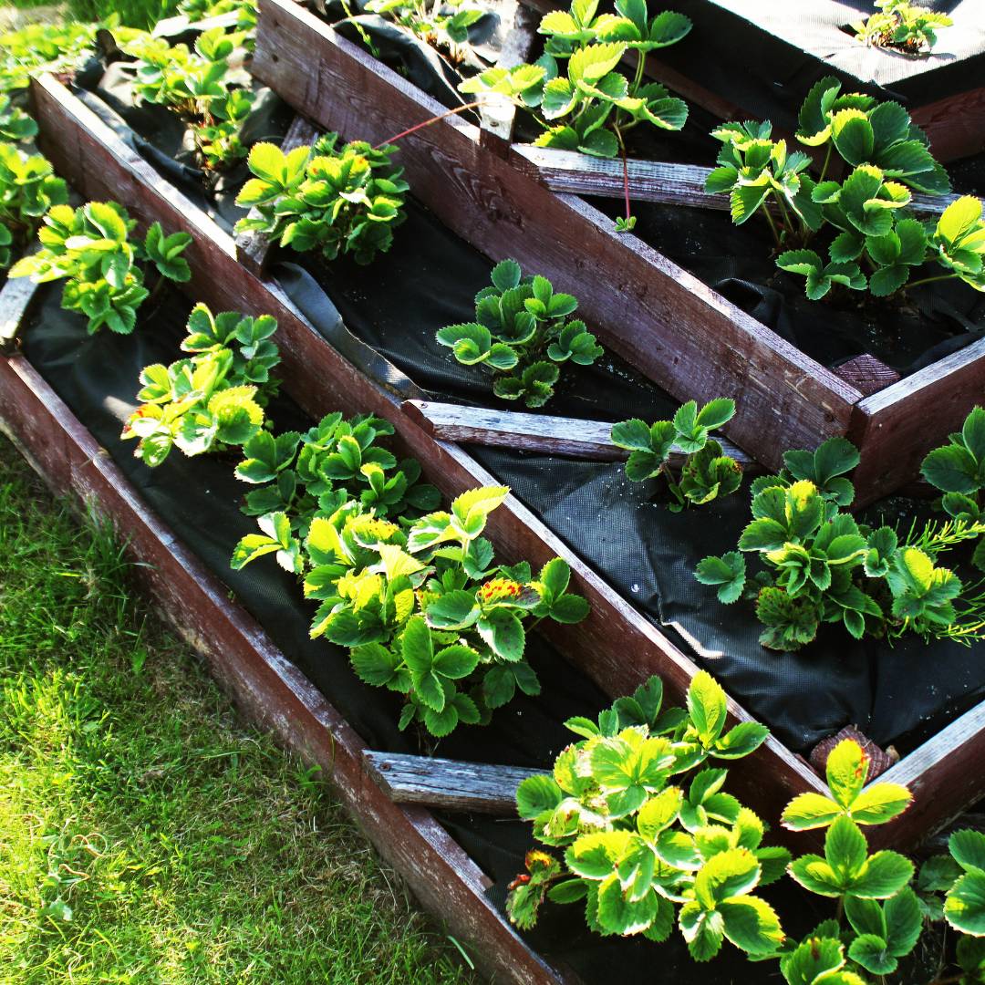 Lining Solutions For Raised Bed Gardens