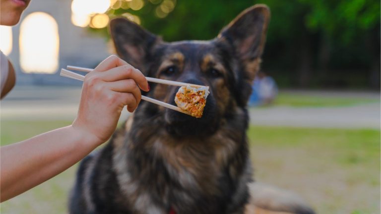 Can dogs have sushi
