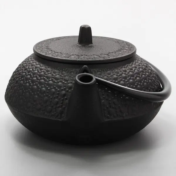 Nambu Tekki Japanese Tea Pot
