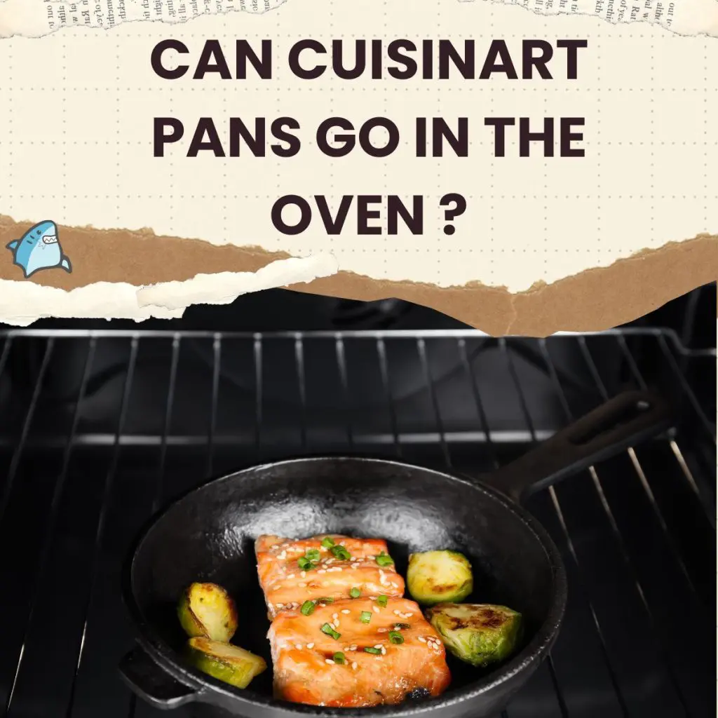 Can cuisinart pans go in the oven store